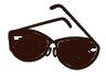 shades.gif (2238 bytes)