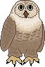 owl.gif (1869 bytes)