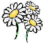 daisies.gif (10254 bytes)